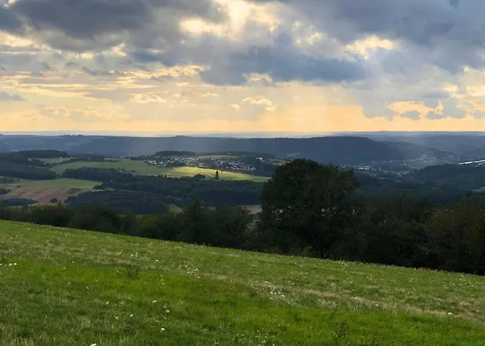 In Near Trier Sites *