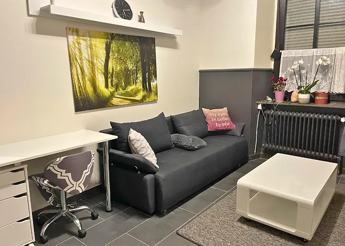 公寓 In Near Trier Sites Pellingen